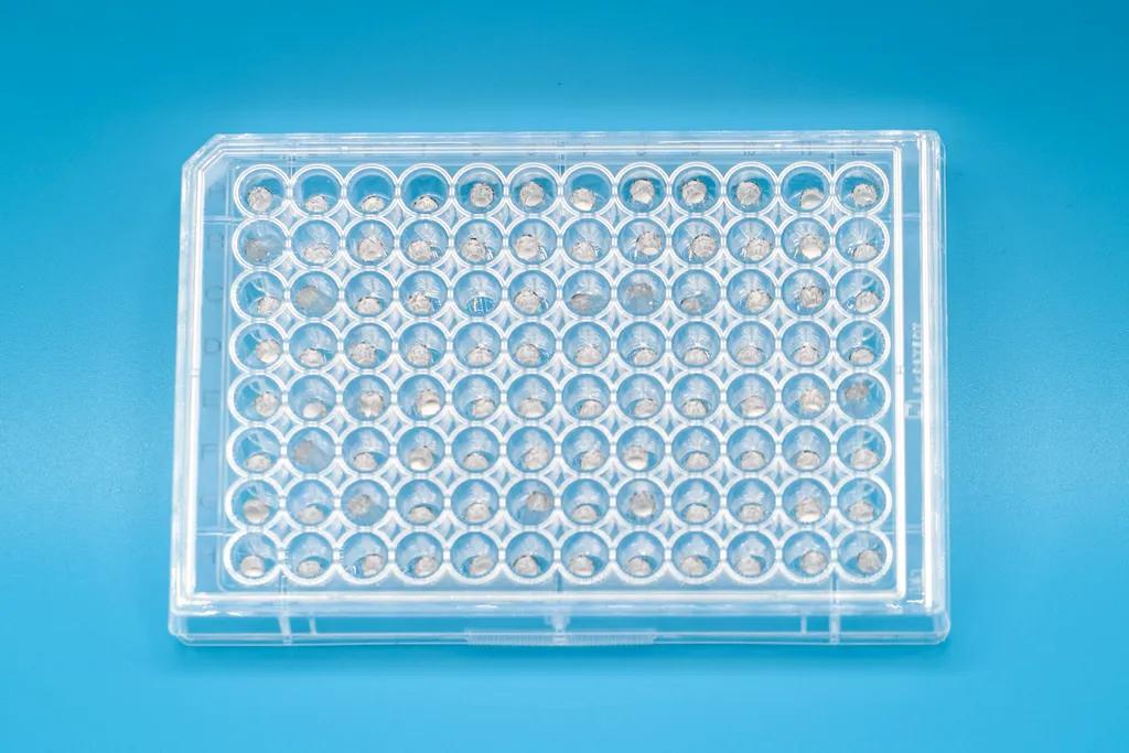 Aluminium Capsules for Solid Samples, 4 x 6 mm, ultra-cleaned